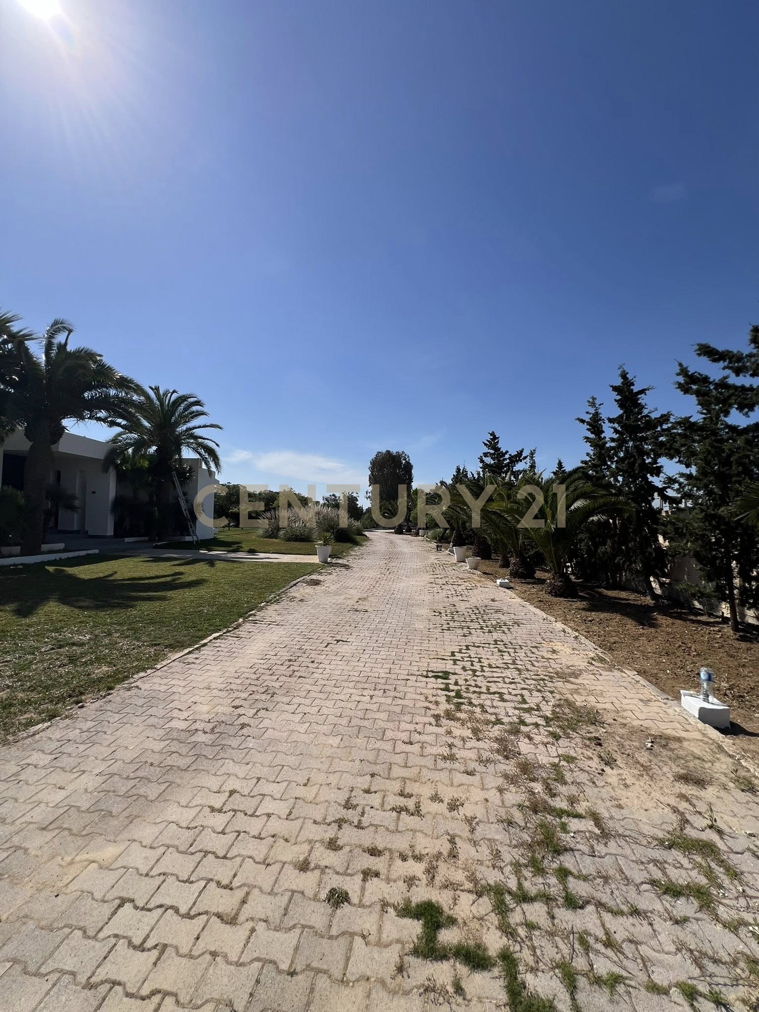 Villa S+5 à vendre à Hammamet Sud - 500 m² – photo 12 sur 12