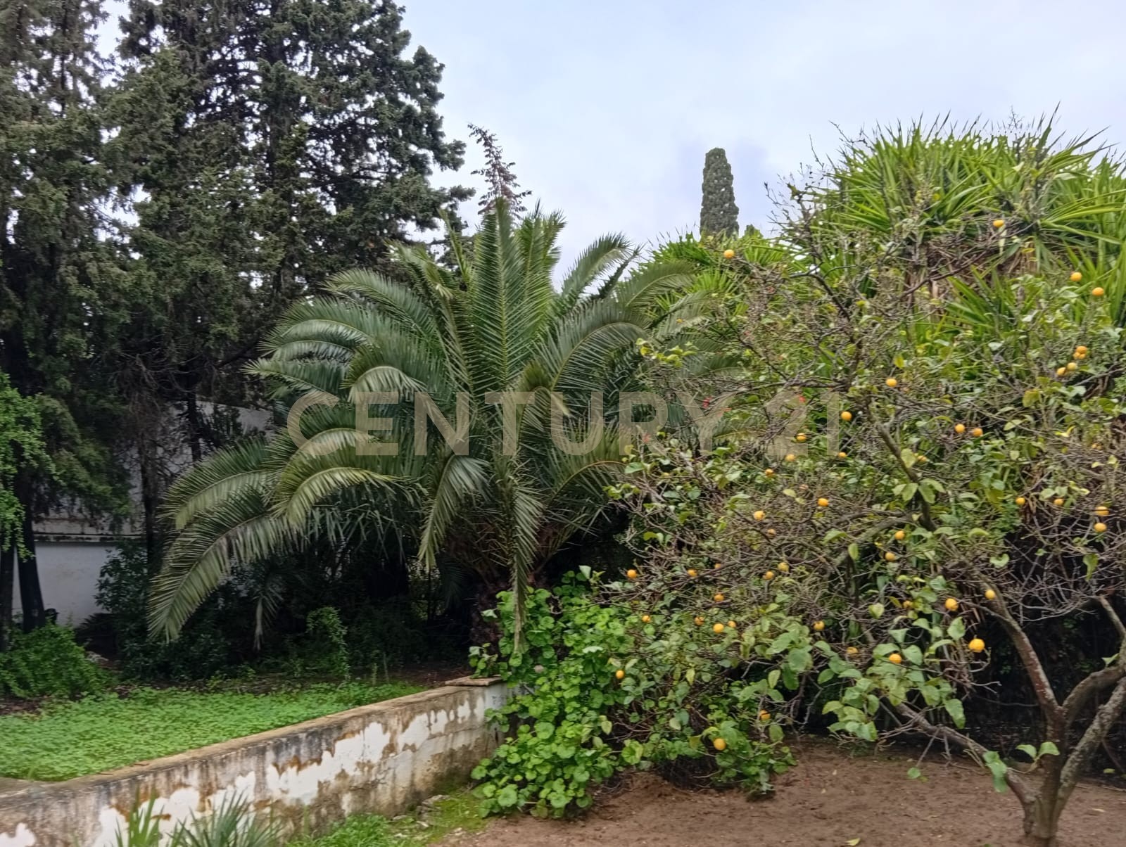 À vendre villa S+3 Notre Dame