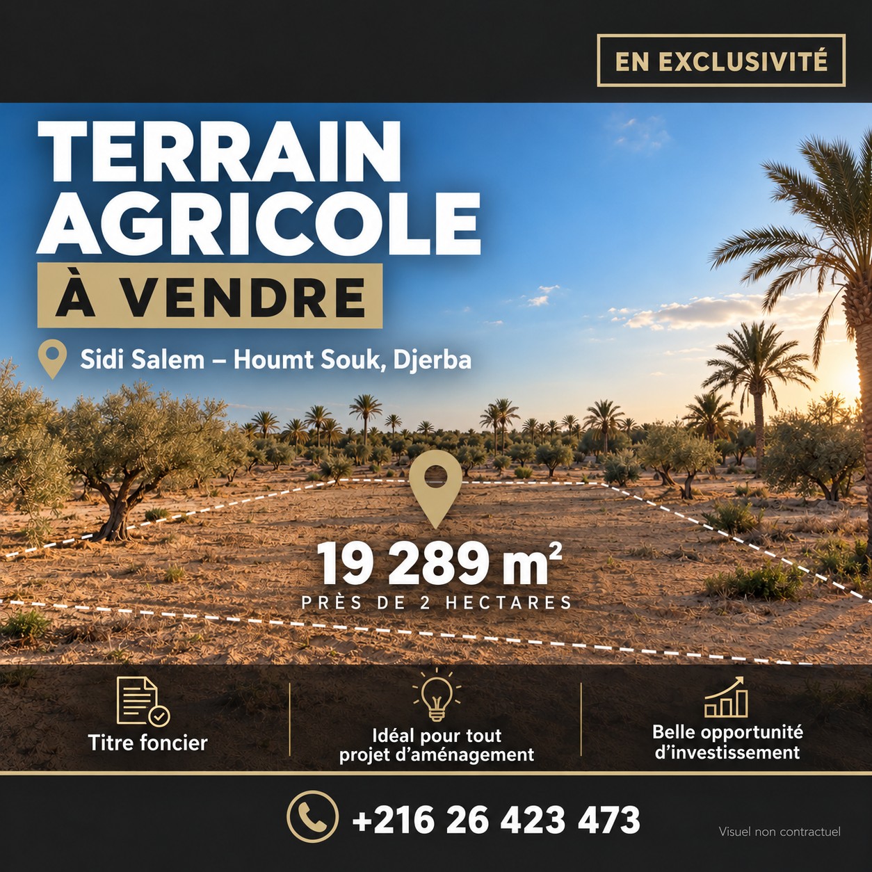 Terrain agricole à vendre à Sidi Mehrez - 19289 m²